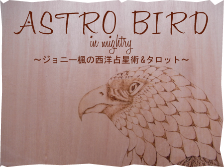 Astro Bird