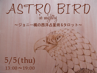 astro-bird2.jpg