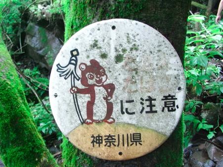th_R0199909.jpg